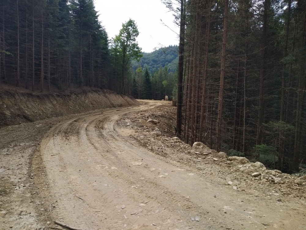 Львівське ОУЛМГ за рахунок коштів Державного бюджету впродовж 2022-2026 років планує збудувати 205 км нових лісових автомобільних доріг